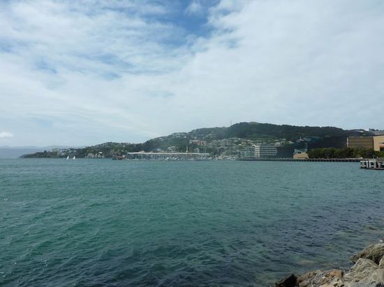 Mein Arbeitsweg direkt am Wellington Harbour entlang