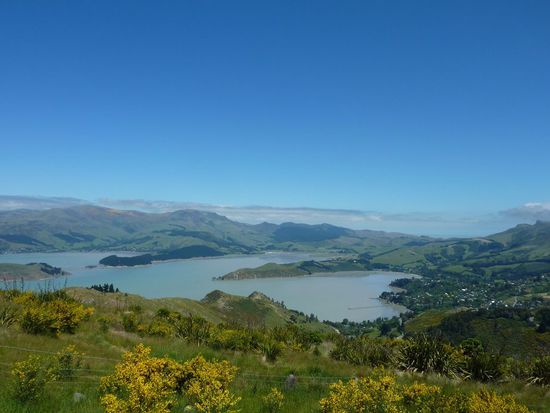 Auf dem Berg nahe Christchurch, unten rechts ist Lyttleton zu sehen