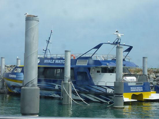 Sieht eigentlich ganz harmlos aus oder?