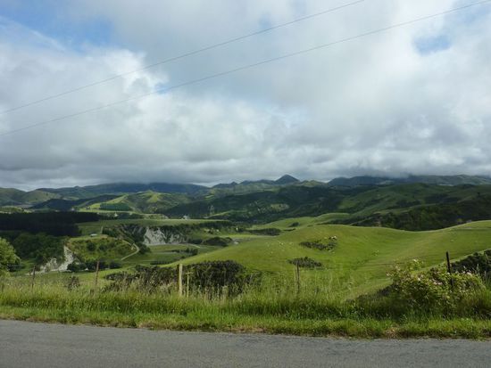 Auf dem Weg nach Akaroa