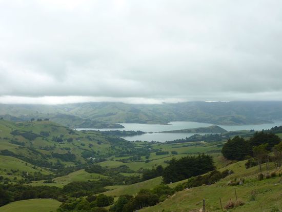 Blick auf Akaroa (irgendwo da unten )