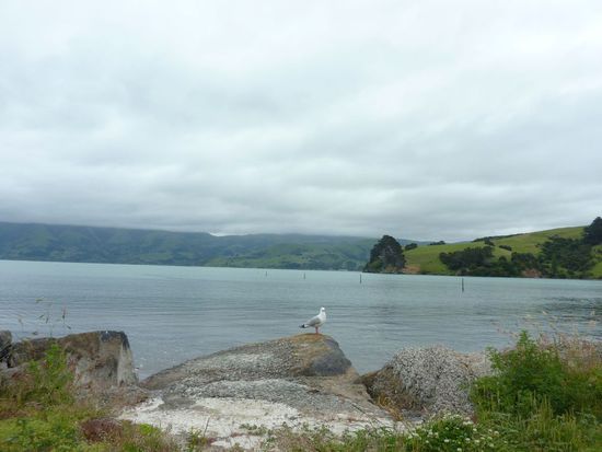 In Akaro mit Blick auf´s Meer