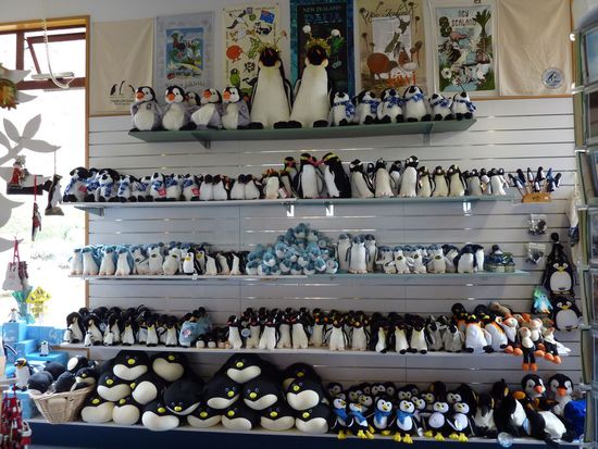 Hier gibt´s so viele Pinguine, dass sie sogar verkauft werden 