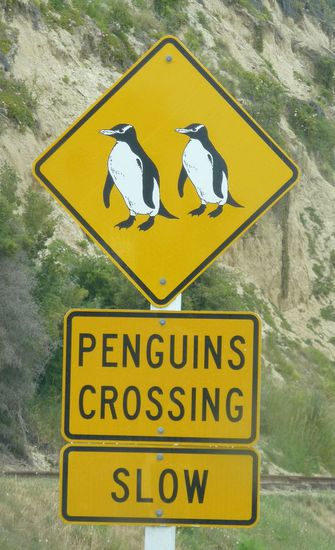 Man könnte in dem Fall auch "Wappen der Stadt" hierzu sagen 