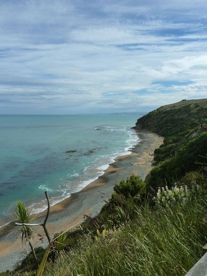 Hier leben sie also, die Pinguine. Ist aber auch ein wirklich schöner Strand!