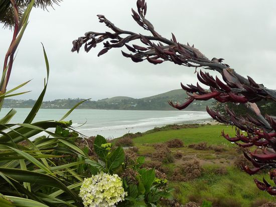 Dort unten liegen die runden Steine
