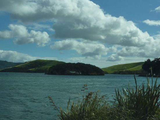 Quarantine-Island auf der Otago Pensinsula (wer da wohl wohnt?)