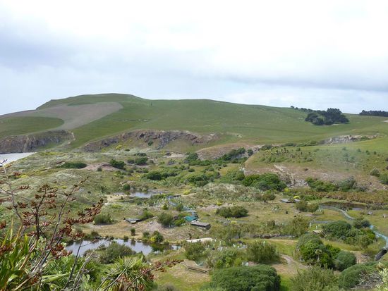 Das Gebiet der Pinguine