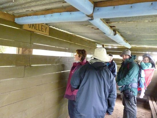 Durch diese Schlitze habe wir sie gesehen, die Pinguine selbst werden dabei nicht gestört