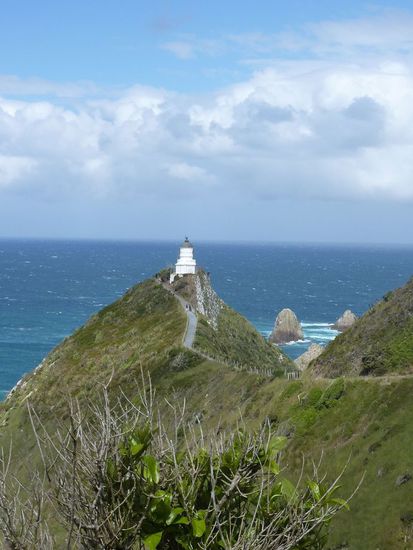 Leuchtturm am Nugget-Point