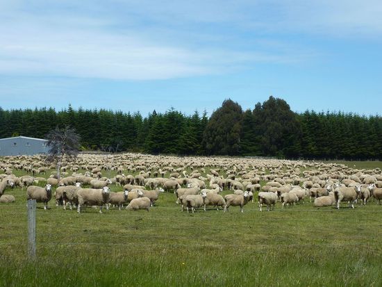 Nur mal so zwischendurch, weil ich davon Millionen am Tag sehe