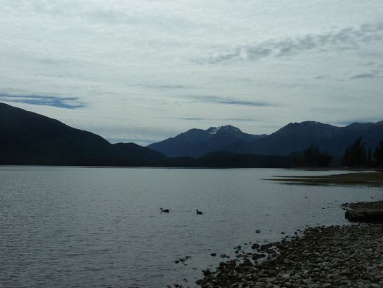 Lake Te Anau, ca. 30 Sek von meinem Van entfernt 