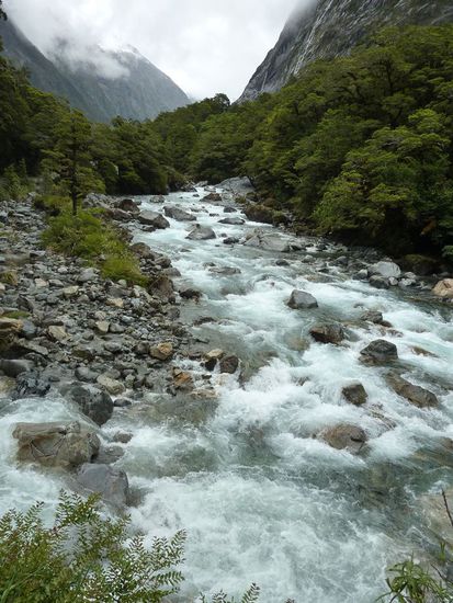 Auf dem Weg zurück nach Te Anau