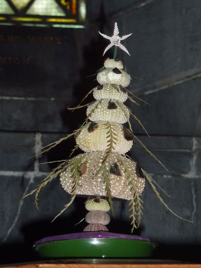 Ein Weihnachtsbäumchen (ca. 10 cm hoch) aus Muscheln 