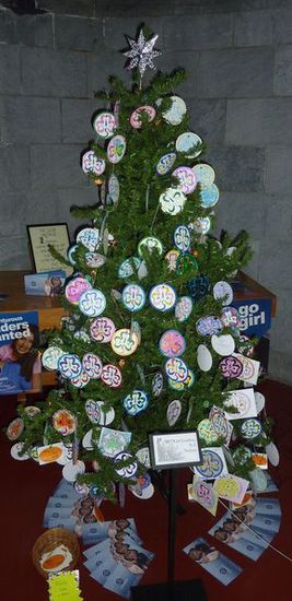 Sabse: Dieser Baum war nur uns beiden (von den weiblichen Pfadis in Nelson - sorry Achim )