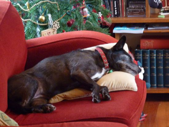 So haben wir uns alle gefühlt - einfach nur müde 