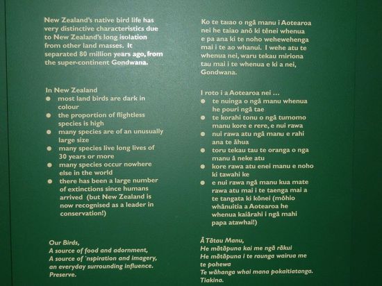 Damit Ihr seht wie Maori geschrieben aussieht