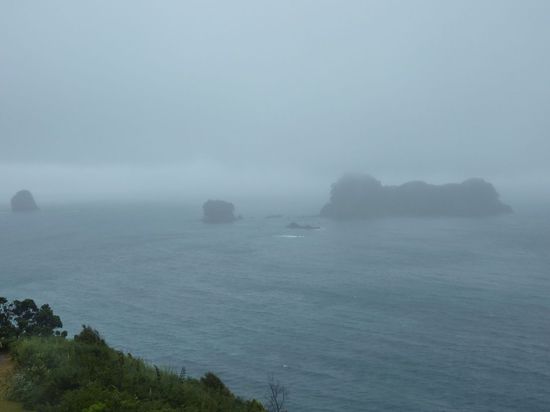 Cathedral Cove - zumindest in der Nähe davon 