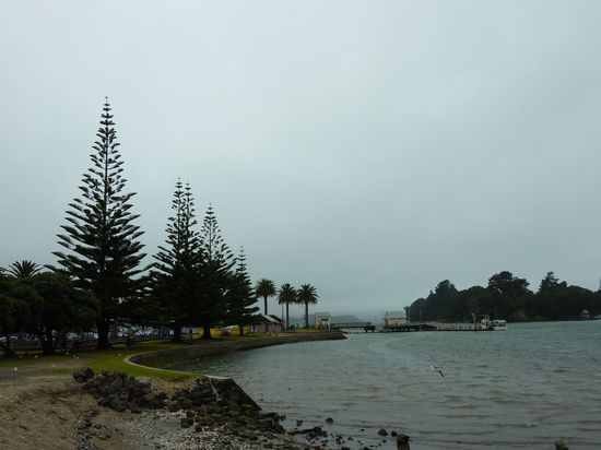 Hafen von Whitianga