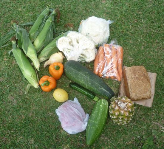 Ein Teil eines Vegies-Einkaufs (man beachte, dass die kleine Zucchini 0,70$ und die große direkt vom Bauern 1$ gekostet hat)