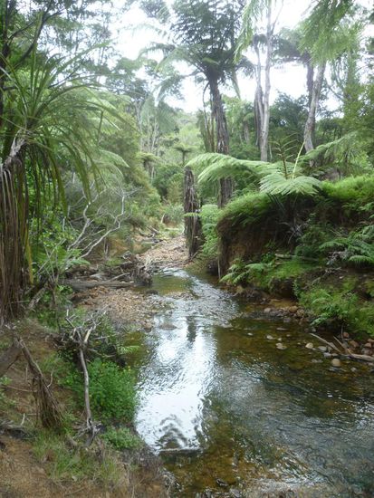 Der Rückweg führte uns wieder ein paar Mal durch diesen schönen Bach (Schuhe sind dennoch trocken geblieben )