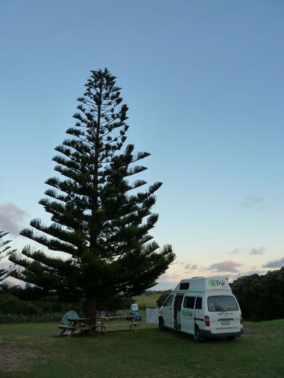 Campingplatz am Muriwai Beach, ca. 20 Meter vom Meer entfernt 