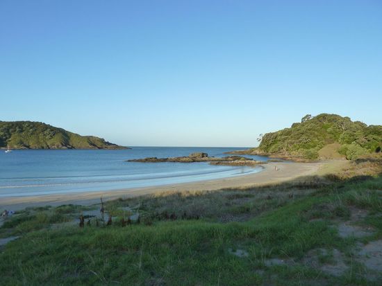 Maitai Bay, ca. 30 Meter von meinem Stellplatz entfernt