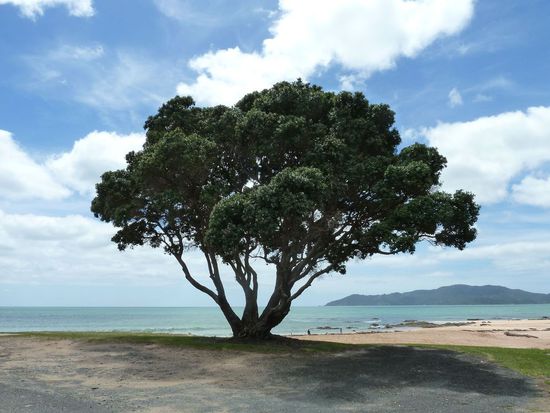 Region "Bay of Islands"