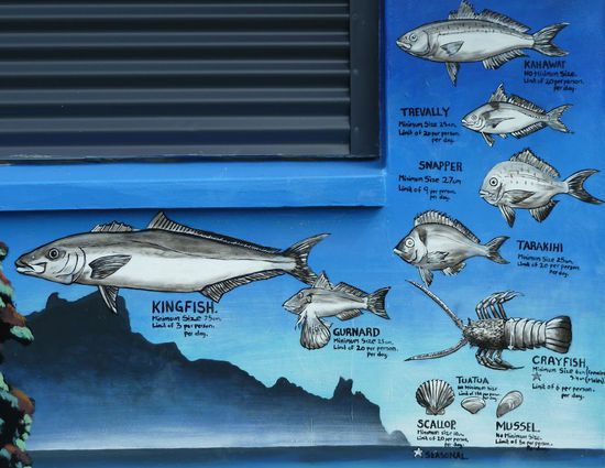 ... hier konnte man sogar was lernen 