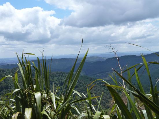 ... dann hatte ich ihn erreicht: den Gipfel in Höhe von 336 Metern 