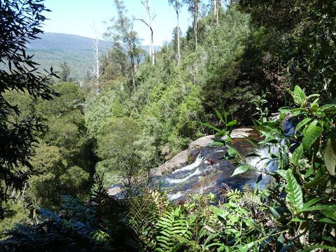 Russel Falls von oben