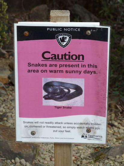 ... hat jetzt nicht gerade mein Vetrauen in die Tierwelt Australiens gesteigert...