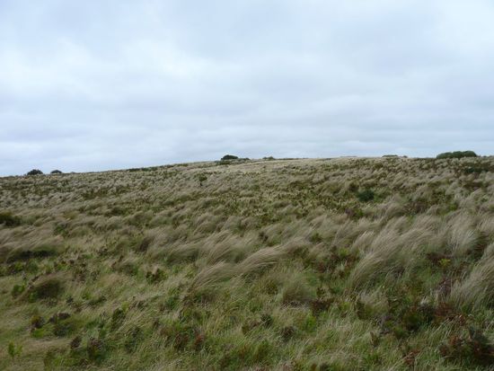 Blick auf die Landschaft auf dem Berg