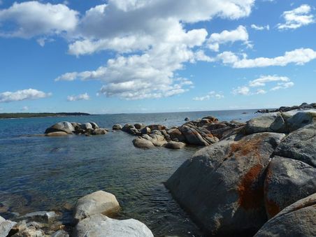 Stieglitz Bay