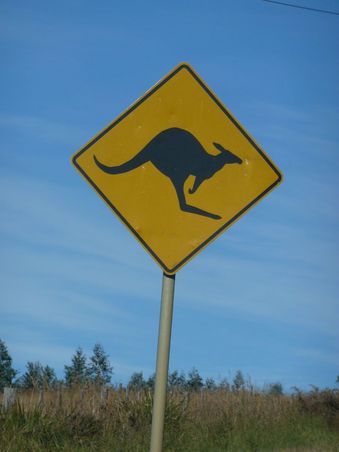 ... und die natürlich auch. Immerhin bin ich in Australien