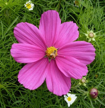 Sorry, ich bin einfach nicht die gebürtige Floristin und kann mir keine Blumennamen behalten... Schön waren sie troztdem!