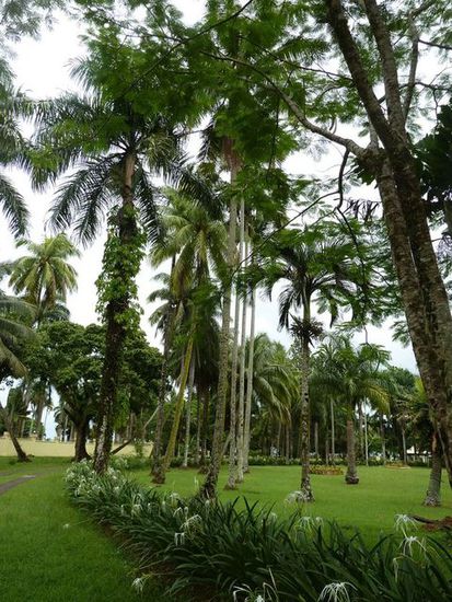 Botanischer Garten direkt vor dem Museum