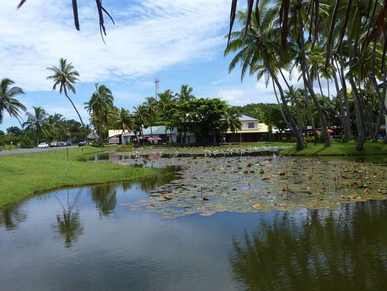 Artsvillage mit Seerosenteich