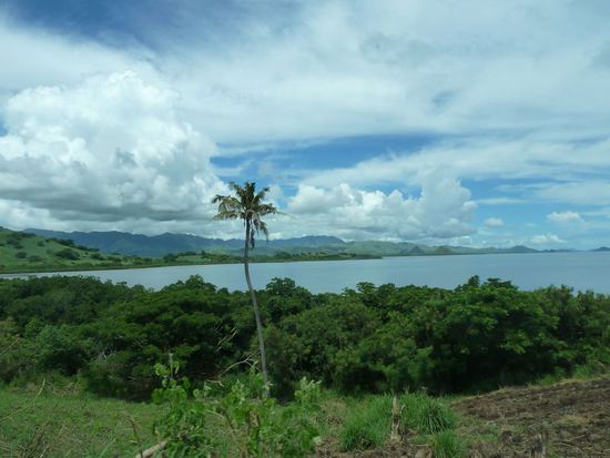 auf der Weiterfahrt vom Resort zurück nach Nadi