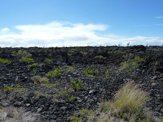 Vulkanlandschaft auf dem Weg von Hilo zurück ins Hostel