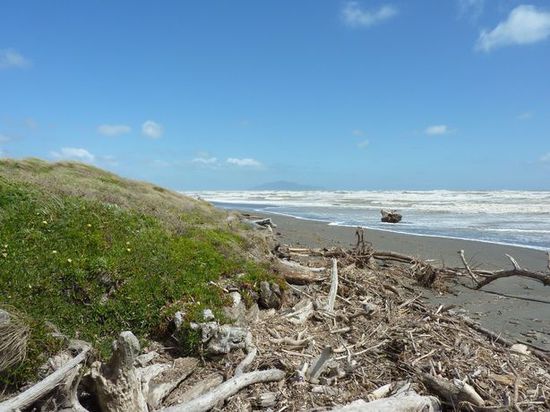 Otaki Beach