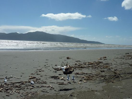 Paraparaumu-Beach