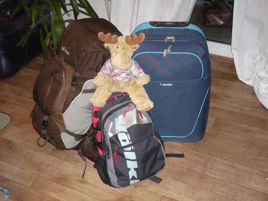 Mein Gepäck inclusive Elch