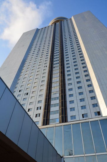 Yanggakdo Hotel