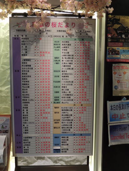 Kirschblütenkalender in Kyoto