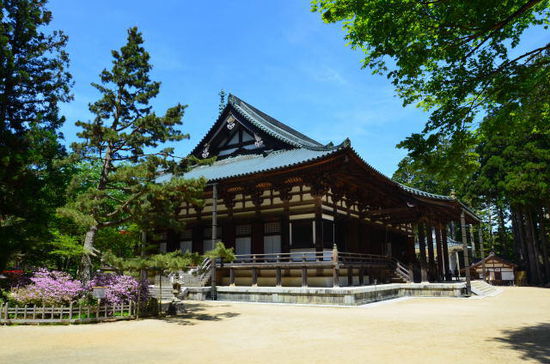 Kondo Halle