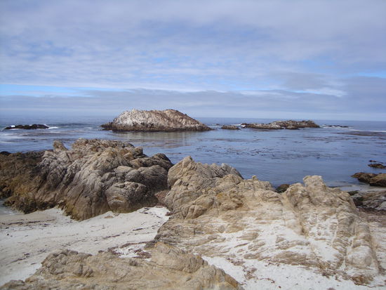 Ein vorgelagerter Fels am 17-Mile-Drive, auf dem sich zahlreiche Vögel und See-Elefanten niederlassen