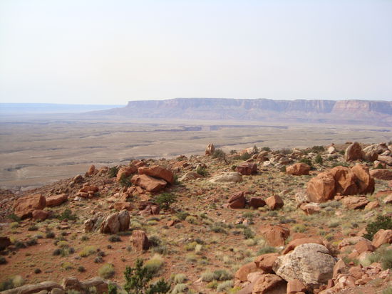 Irgendwo auf dem Weg...