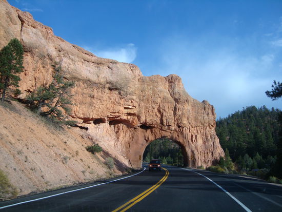 Fahrt durch den Red Canyon