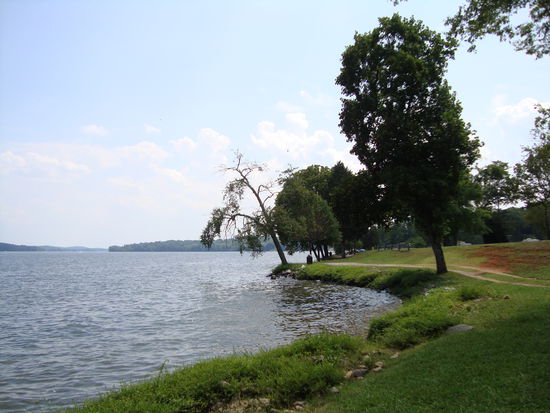 Chester Frost Park